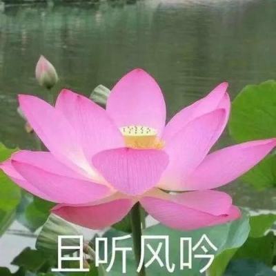 【境内疫情观察】广东新增11例本土病例（5月31日）